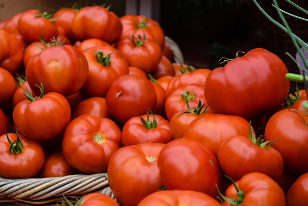 Desi Tomato (Tamatar)